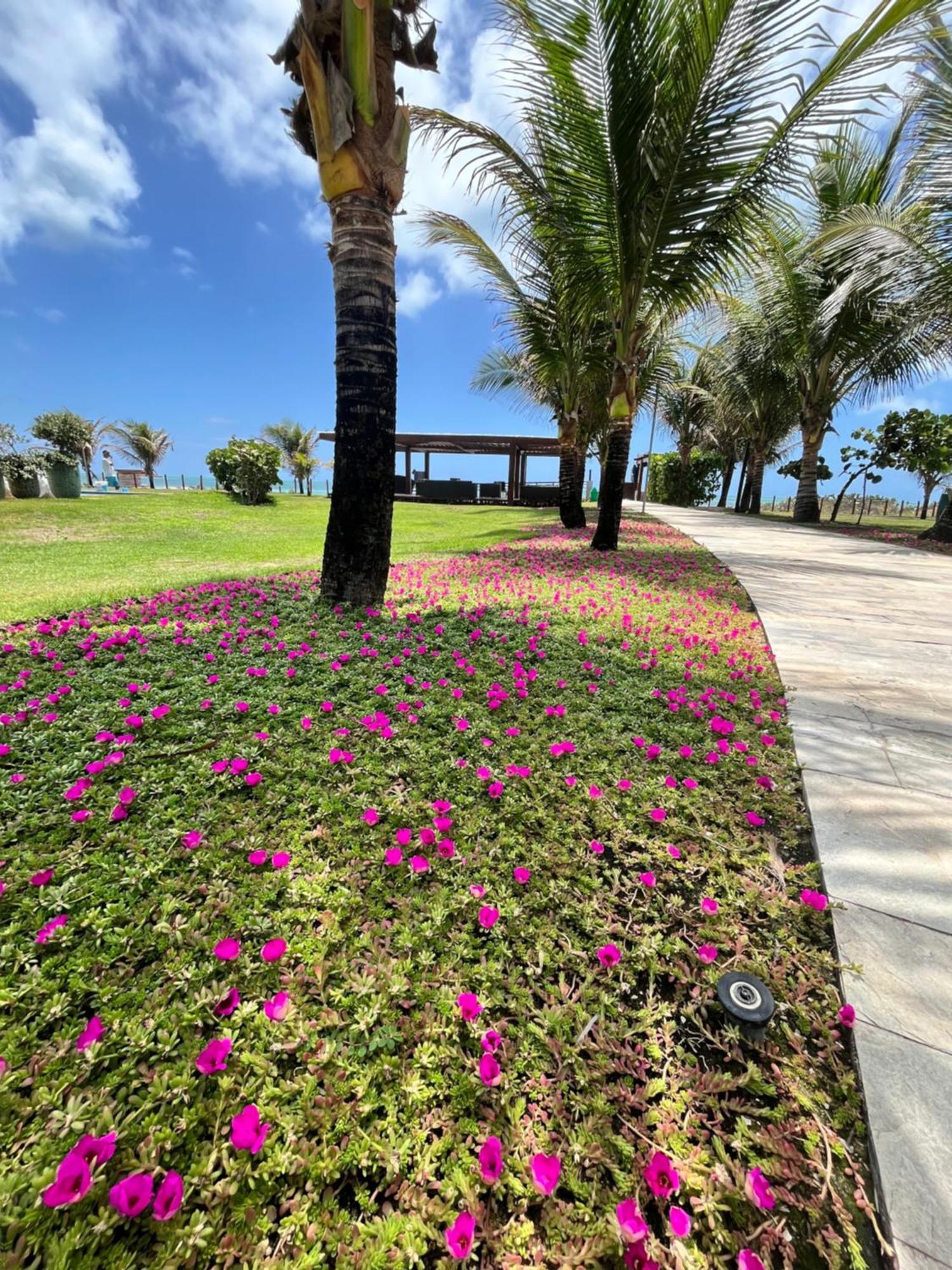 Resort Beira Mar Em Porto De Galinhas - Cupe Beach Living Pôrto das Galinhas Exteriér fotografie